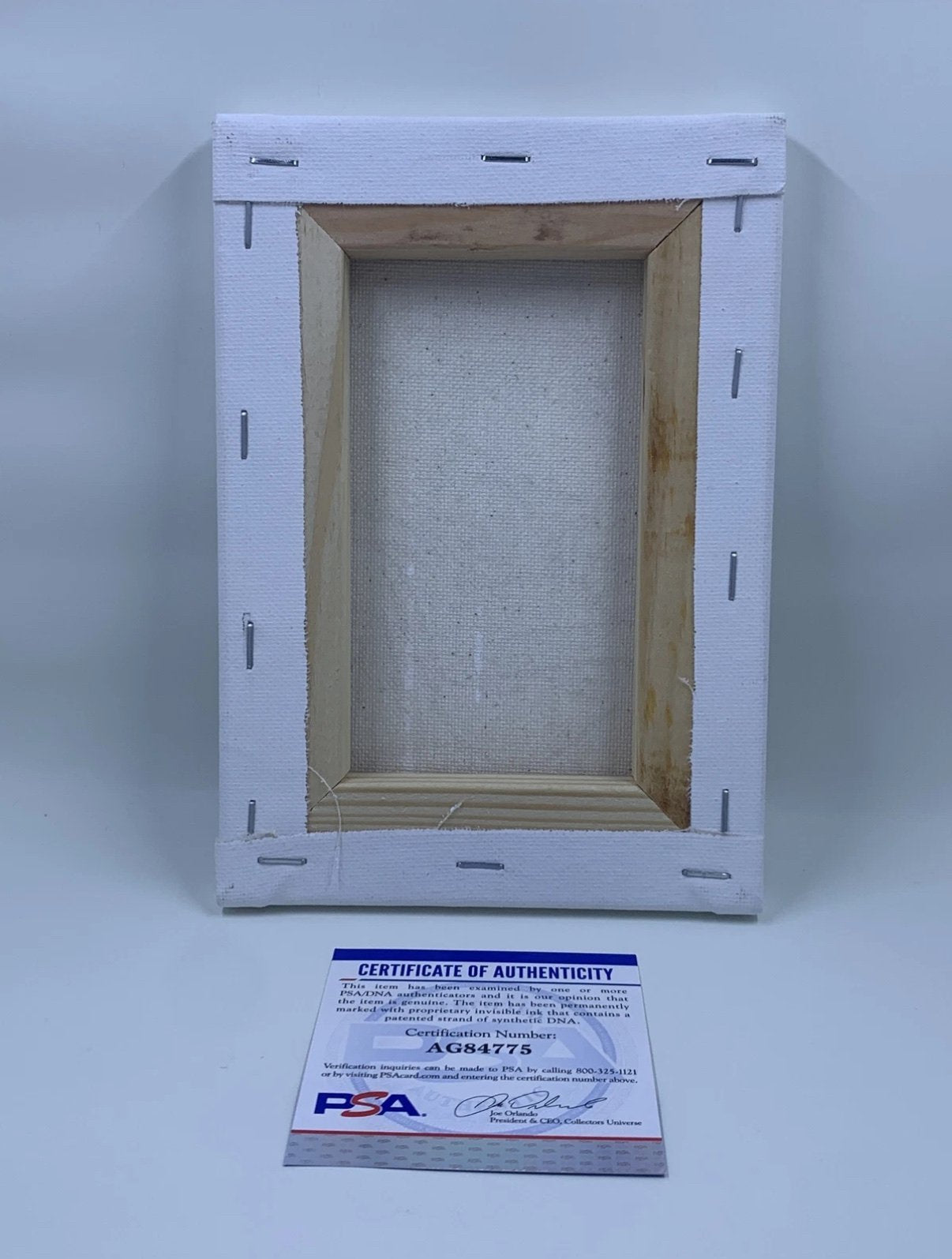 Tad Stones Signed Original Darkwing Duck Sketch — 13 × 18 cm Canvas (PSA/DNA)